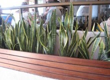 Kwikfynd Indoor Planting
parwan
