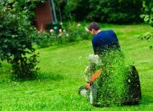 Kwikfynd Lawn Mowing
parwan