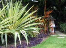 Kwikfynd Tropical Landscaping
parwan